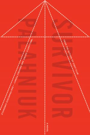 Cover of the book Survivor: A Novel by Jason Novak