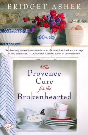 Cover of the book The Provence Cure for the Brokenhearted by Sawyer Bennett