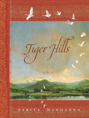 Cover of the book Tiger Hills by Dorothy Garlock