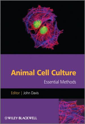 Cover of the book Animal Cell Culture by Hans P. Blaschek, Jürgen Scheffran, Thaddeus C. Ezeji