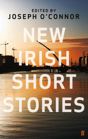 Cover of New Irish Short Stories