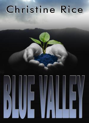 Book cover of Blue Valley