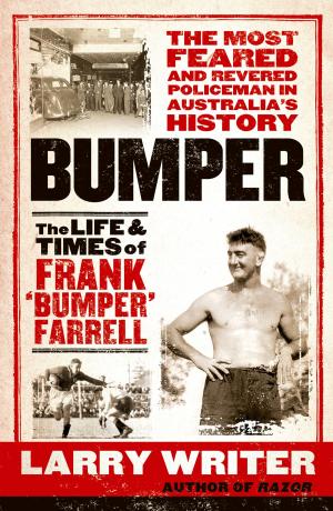 Cover of the book Bumper by John Larkin