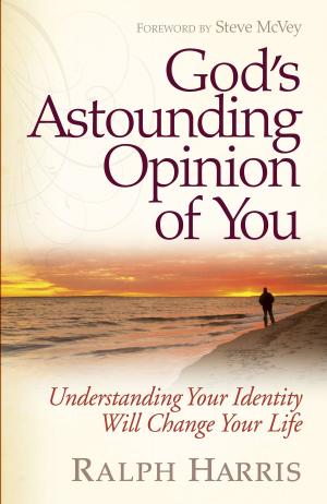 Cover of the book God's Astounding Opinion of You by Jeff Kinley