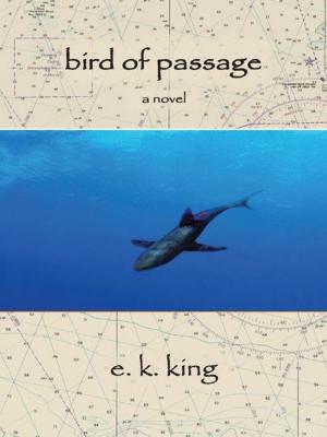 Cover of the book Bird of Passage by Elizabeth Grover