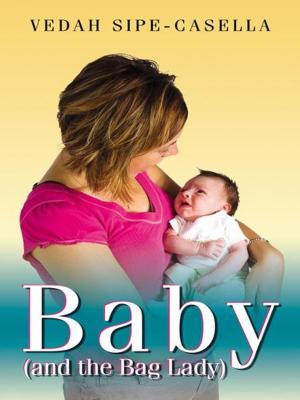 Book cover of Baby (and the Bag Lady)