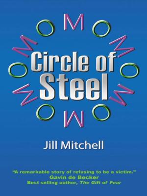 Cover of the book Circle of Steel by Joel L. Schwartz