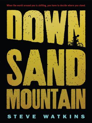 Cover of the book Down Sand Mountain by David Almond