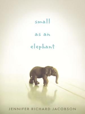 Book cover of Small as an Elephant