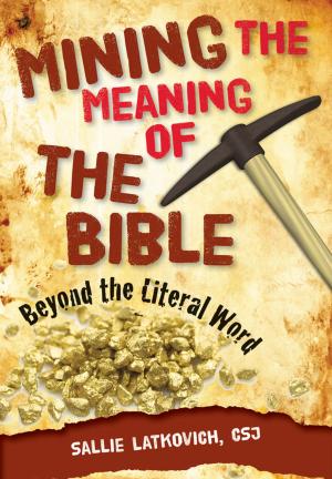 Cover of the book Mining the Meaning of the Bible by Fr. Thomas M. Santa CSsR