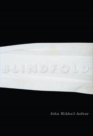 Cover of the book Blindfold by Stephen Henighan