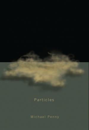 Cover of the book Particles by Thierry Nootens