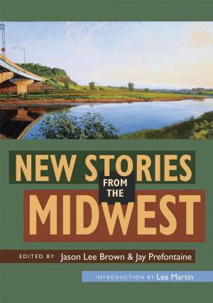 Cover of the book New Stories from the Midwest by Ilaria D'Alessandro