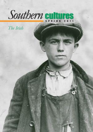 Cover of the book Southern Cultures: The Irish Issue by 