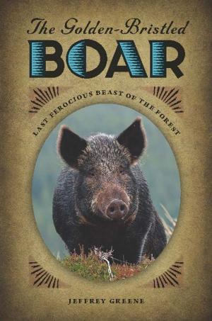 Cover of the book The Golden-Bristled Boar by Elliot A. Rosen