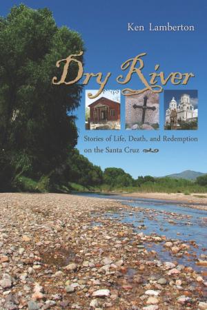 Book cover of Dry River