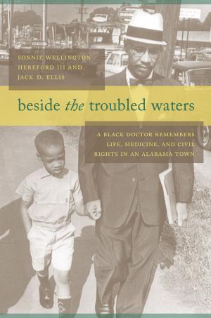 Cover of Beside the Troubled Waters