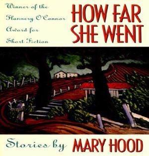 Cover of the book How Far She Went by David Mura