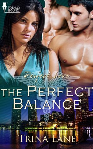 Cover of the book The Perfect Balance by Katy Swann