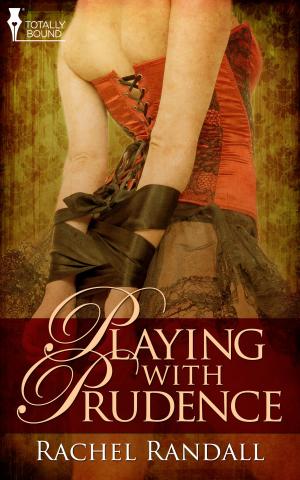 Cover of the book Playing with Prudence by Camiel Rollins
