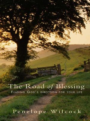Cover of the book The Road of Blessing by Graham Bretherick MA