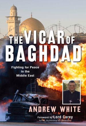 Cover of the book The Vicar of Baghdad by Janet M Jones