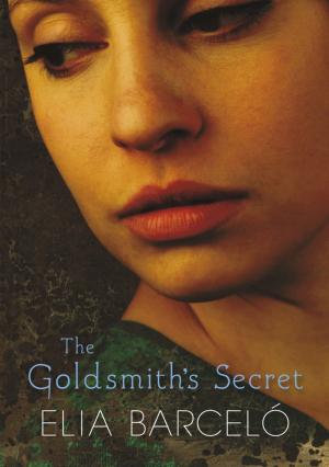 Cover of the book The Goldsmith's Secret by Hilary Boyd