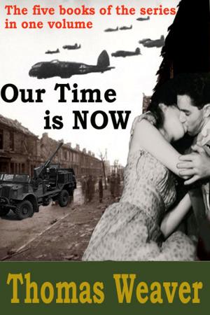Cover of the book Our Time is Now by John Savage