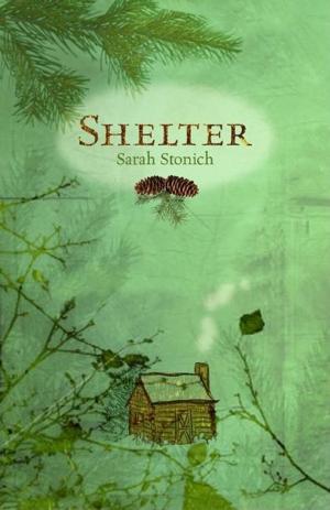 Cover of the book Shelter by Martin Case