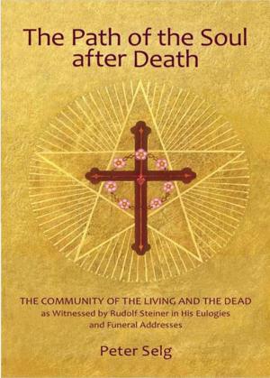 Cover of the book The Path of the Soul after Death by Rudolf Steiner