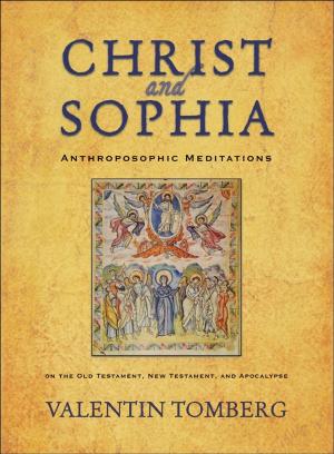 Book cover of Christ and Sophia