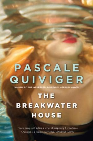 Book cover of The Breakwater House