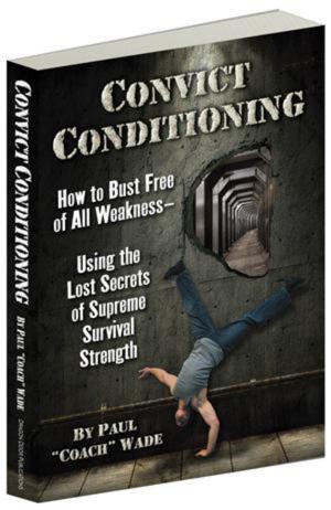 bigCover of the book Convict Conditioning by 