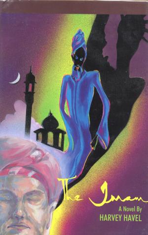 Book cover of The Imam: A Novel