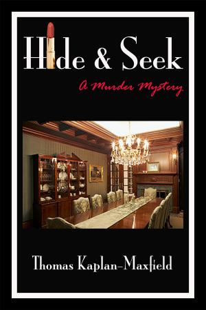 Cover of the book Hide & Seek by Sailor Stone