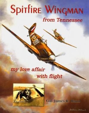 Cover of the book Spitfire Wingman from Tennessee by Richard Ankony
