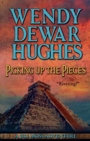 Cover of the book Picking up the Pieces by 王 穆提