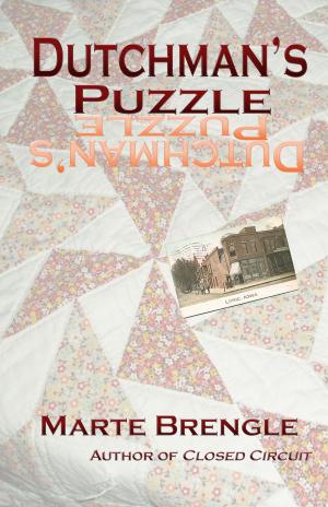 Cover of the book Dutchman's Puzzle by Laura Schofer