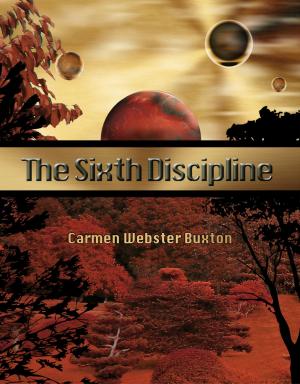 Book cover of The Sixth Discipline