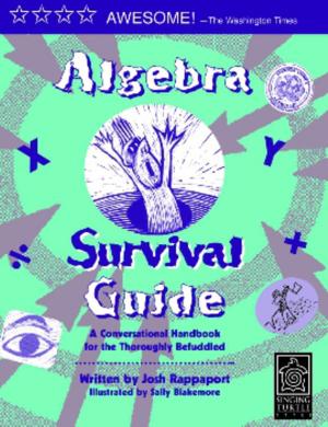 Cover of the book Algebra Survival Guide by Danielle Gomez