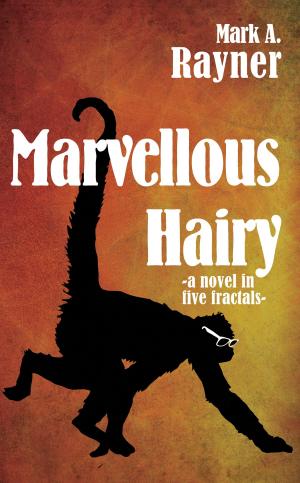 Book cover of Marvellous Hairy
