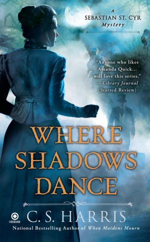 Cover of the book Where Shadows Dance by Stephen Dodson, Robert Vanderplank