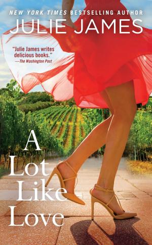 Cover of the book A Lot Like Love by Machelle M. Seibel, Hari Kaur Khalsa