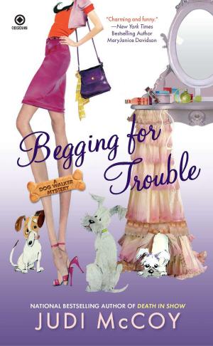 Cover of the book Begging for Trouble by Joanna Klink