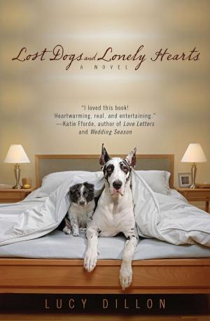 Book cover of Lost Dogs and Lonely Hearts