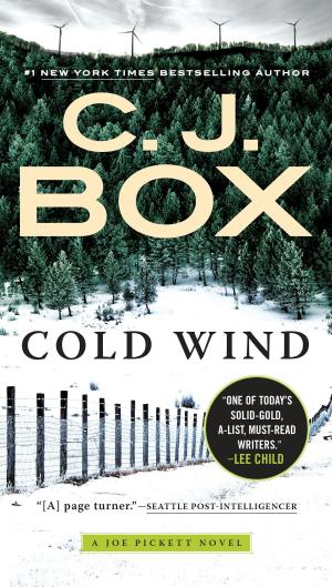 Cover of the book Cold Wind by Ray Kane