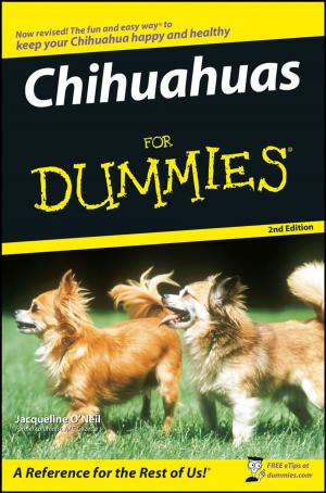 Cover of the book Chihuahuas For Dummies by Steven Holzner