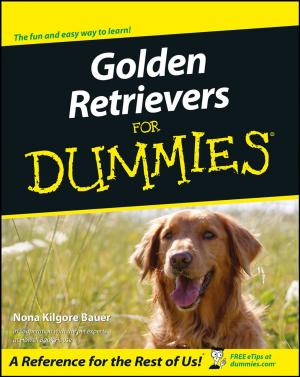 Cover of the book Golden Retrievers For Dummies by Orna Naftali