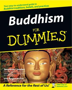 Cover of the book Buddhism For Dummies by Jürgen Weber