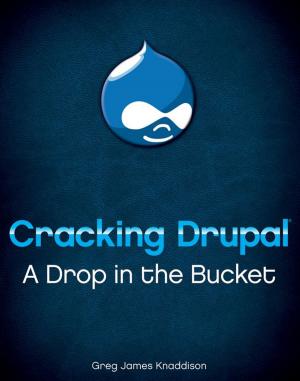 Cover of the book Cracking Drupal by 